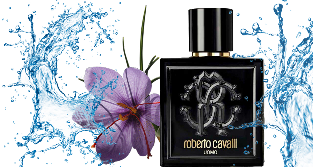 Roberto Cavalli Uomo