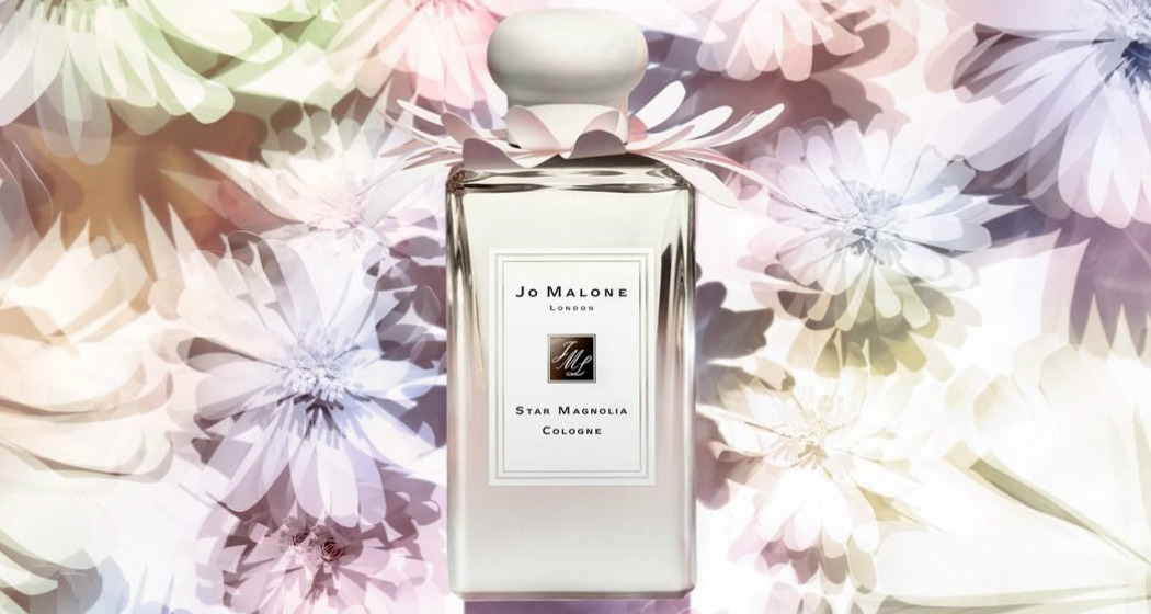 Star Magnolia Cologne