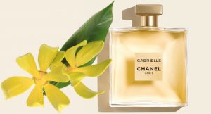 chanel gabrielle perfume