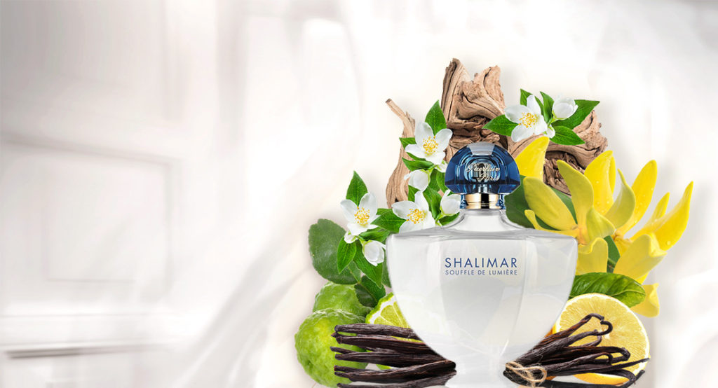 shalimar souffle de parfum composition